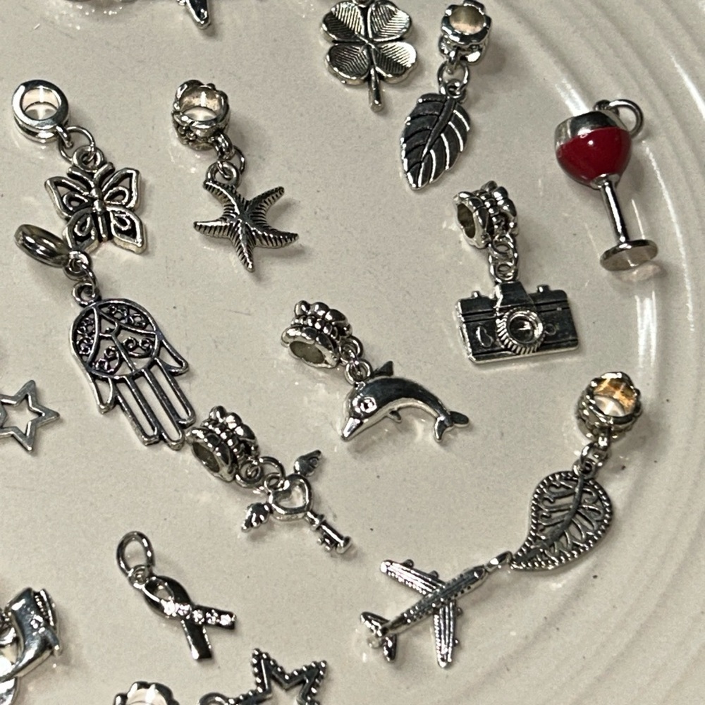 15 Silver Charm Collection - Picture 3 of 3